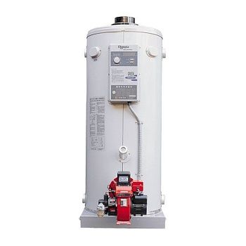 Котел газовый Olympia OLB-500GD-R, 2-контурный, напольный