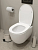 Комплект унитаз Eletto Amelia Vortex EL00891 + инсталляция Grohe Rapid SL (38772001) Комплект унитаз Eletto Amelia Vortex EL00891 + инсталляция Grohe Rapid SL (38772001)